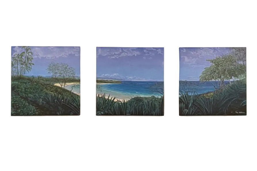triptych of mauna kea beach on hawaii island
