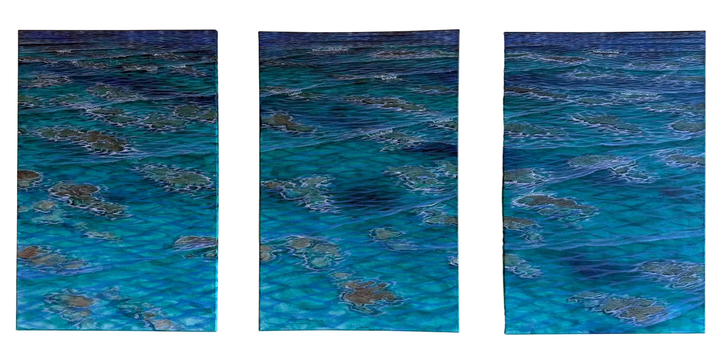 Low Tide Reef - Bill Braden - Braden Studio Original triptych