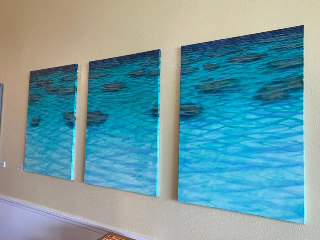 Reef Triptyk - Bill Braden original painting