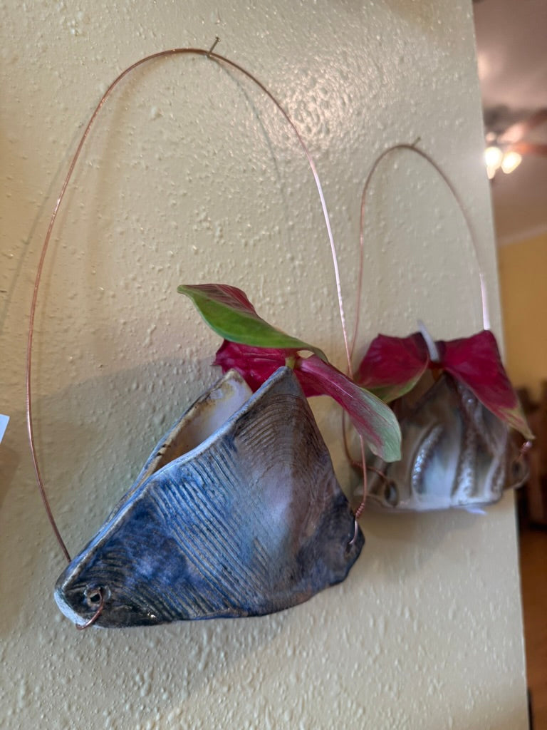Two decorative hanging planters made from fish skulls, mounted on a textured beige wall. Each planter contains a small green and burgundy plant and is suspended by a thin metal wire loop.