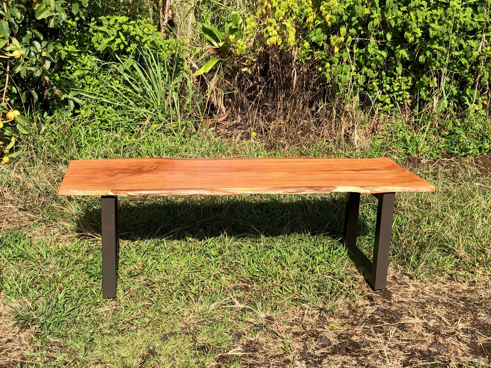 Kohala Bench